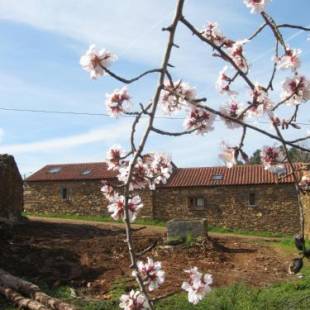 Фотографии гостевого дома 
            Quinta dos Baldo