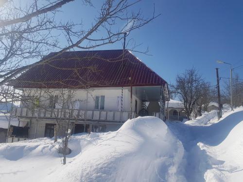 Фотография гостевого дома Лига