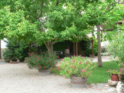 Фотография гостевого дома Casa Rural La Fabriquilla