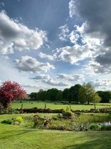 Фотография апарт отеля Landhaus Tipp