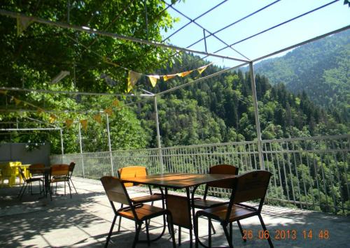 Фотография гостевого дома Вилла Боржоми Садгери