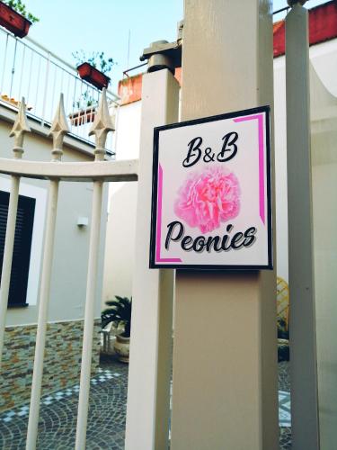 Фотографии мини отеля 
            B&B Peonies