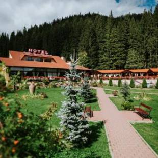 Фотографии гостиницы 
            Hotel Lacu Rosu