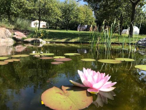 Фотография гостевого дома Domaine Le Coq Enchanté