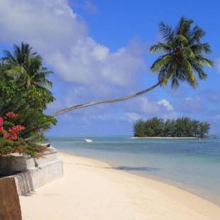 Фотографии гостиницы 
            Moorea Beach Lodge