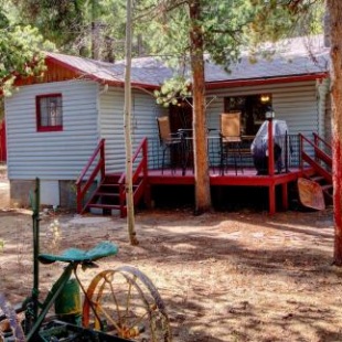 Фотография гостевого дома Columbine Cabin