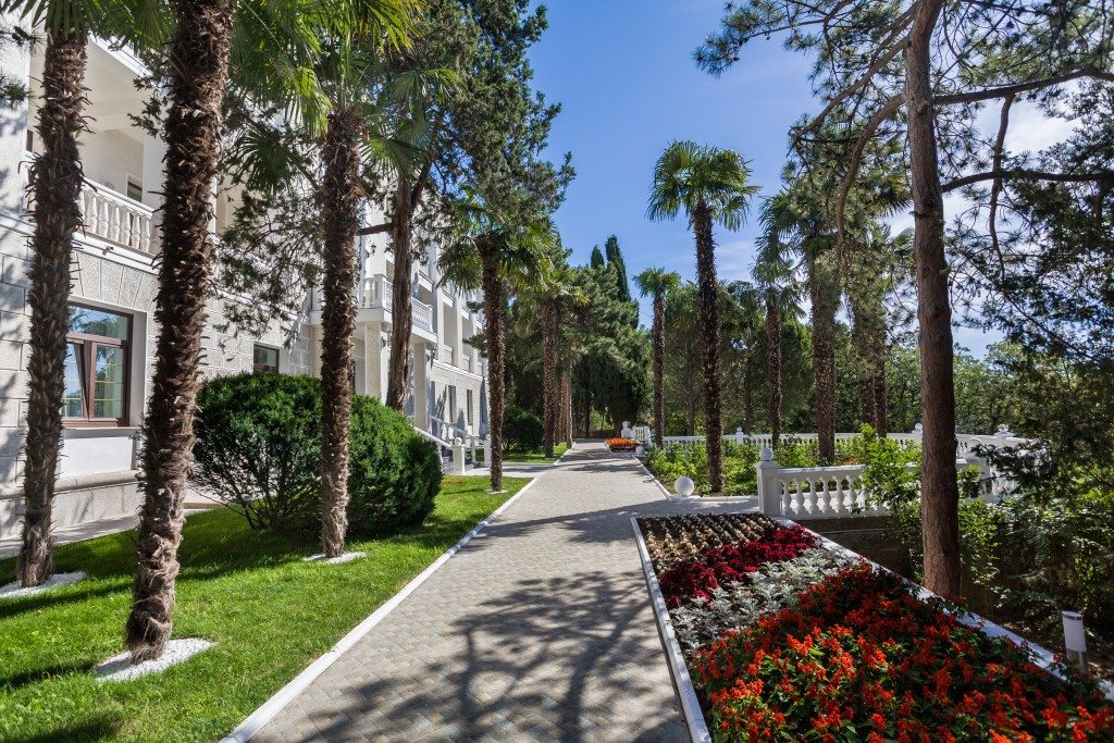 Фотография санатория Сосновая роща