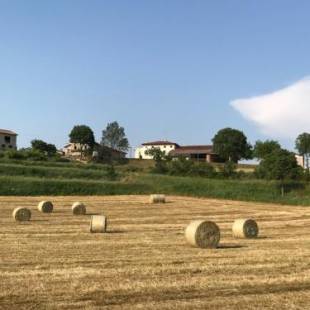 Фотографии гостевого дома 
            Antico Stemma di Corte Meneghella