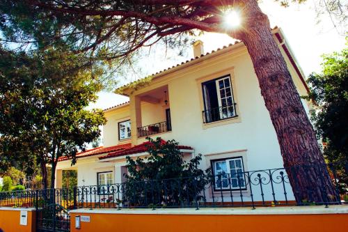 Фотография мини отеля Magnolia B&B