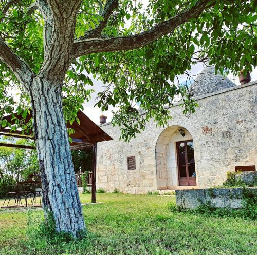 Фотографии мини отеля 
            Trulli Panoramici