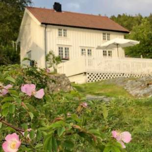 Фотографии гостевого дома 
            Pålberget