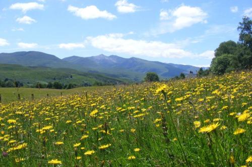 Фотографии гостевого дома 
            Cul Darach Lodge, Glen Roy Nature Reserve