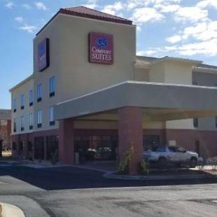 Фотографии гостиницы 
            Comfort Suites Macon