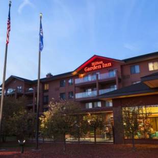 Фотографии гостиницы 
            Hilton Garden Inn Wisconsin Dells