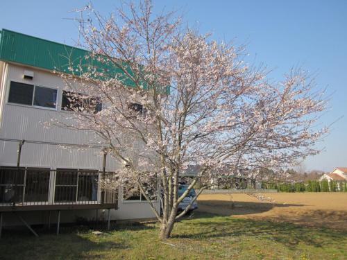 Фотографии мини отеля 
            Narita Airport Hostel