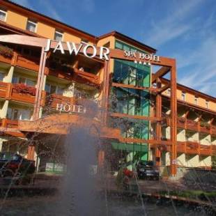 Фотографии гостиницы 
            SPA Hotel Jawor