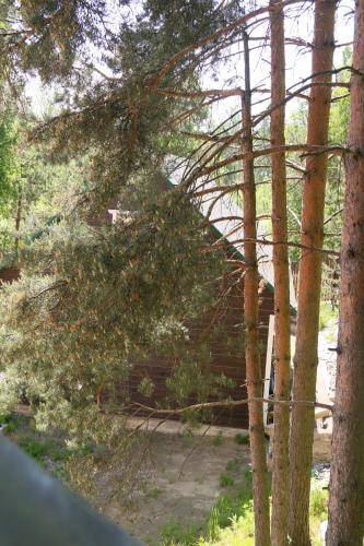 Фотография гостиницы Отель Верещагин