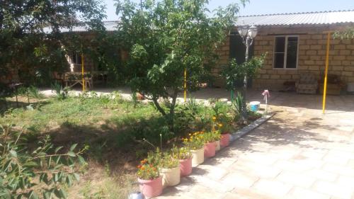 Фотография гостевого дома РИАЛ