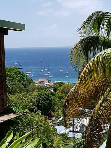 Фотографии гостевого дома 
            Les Lodges des Hauts de Deshaies Bungalow Tobago