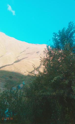 Фотография гостевого дома Nino's Guesthouse