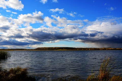 Великое водохранилище. Шадринское водохранилище. Ладыжинское водохранилище. Шадринские озера. Бузавлыкское водохранилище.