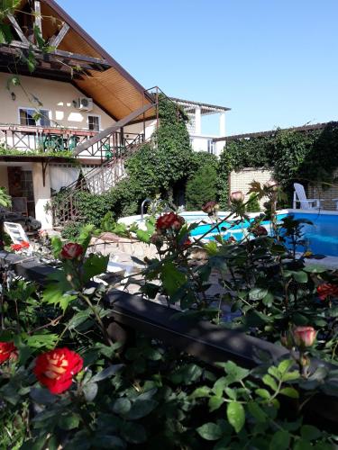 Фотография гостевого дома Эдем