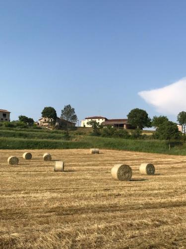 Фотография гостевого дома Antico Stemma di Corte Meneghella