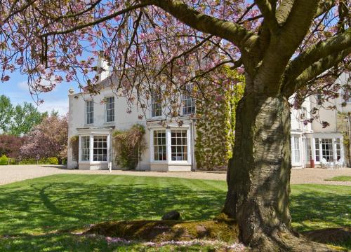 Фотография гостиницы Tickton Grange Hotel