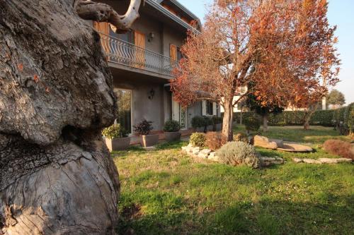 Фотография гостевого дома Magnolia