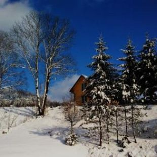 Фотография гостевого дома Domek nad stawem