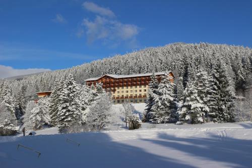 Фотография гостиницы Hotel Partizán