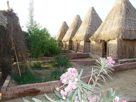 Фотографии кемпинга 
            Badry Sahara Camp