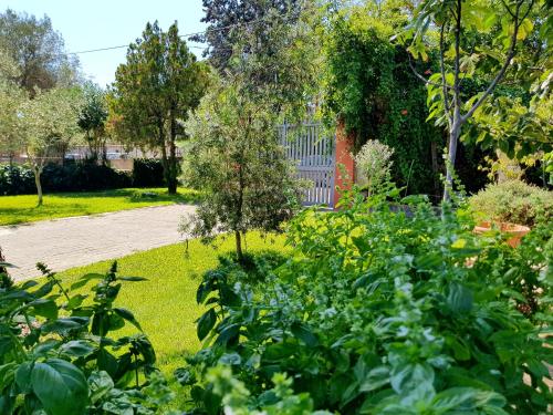 Фотография мини отеля B&B Welcome