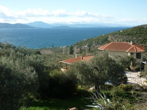 Фотография гостевого дома The Place by the Sun