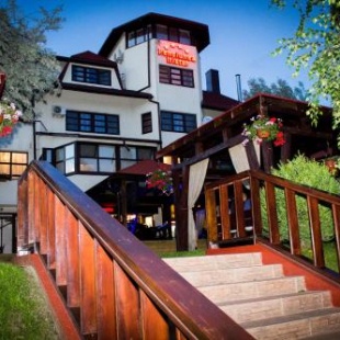 Фотография гостиницы Pensiunea Iristar