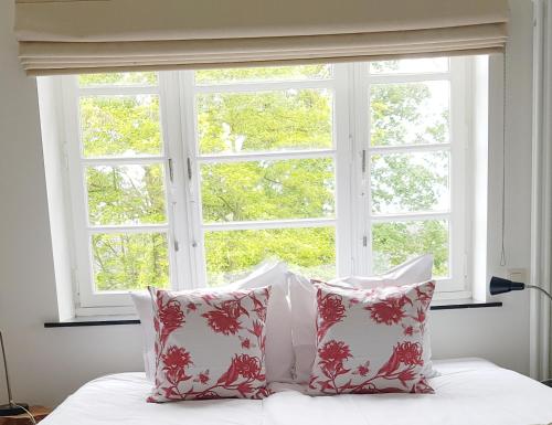 Фотография гостевого дома Vakantiewoning Guesthouse MOMO