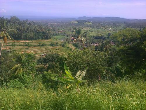 Фотографии гостевого дома 
            Pondok Alam Bukit