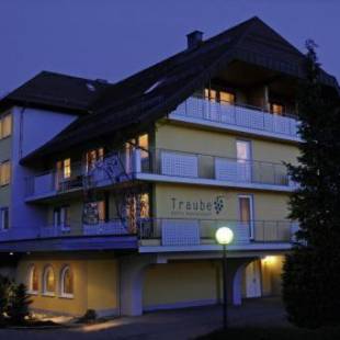 Фотографии гостиницы 
            Hotel Traube Lossburg