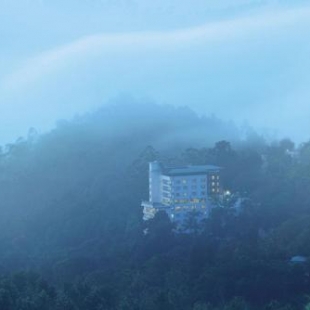 Фотография гостиницы Gokulam Park Munnar