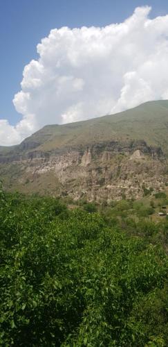 Фотографии гостиницы 
            Hotel Vardzia Terrace