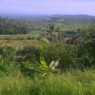 Фотография гостевого дома Pondok Alam Bukit