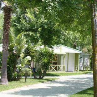 Фотографии кемпинга 
            Camping-Bungalows El Faro