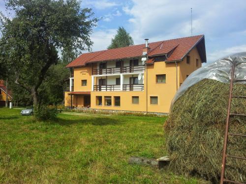 Фотография мини отеля Pensiunea Elena