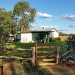 Фотография гостевого дома Charleville Bush Cottage