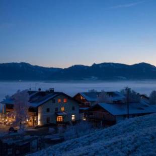 Фотографии гостиницы 
            Berg Hotel Weingarten