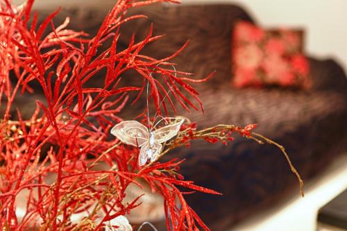 Фотография апарт отеля Stella Paradise "by Checkin"