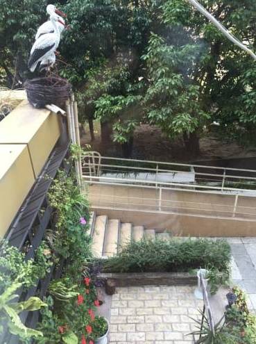 Фотография мини отеля Мишель