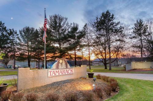 Фотографии гостиницы 
            Tamarack Wisconsin Dells, a Ramada by Wyndham