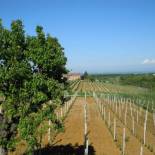 Фотография базы отдыха Il Girasole