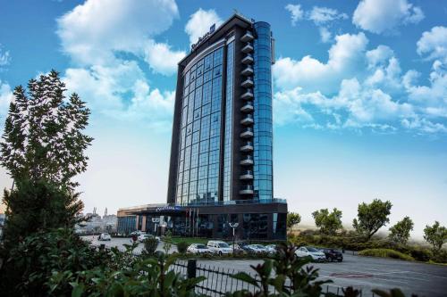 Фотографии гостиницы 
            Radisson Blu Hotel, Diyarbakir